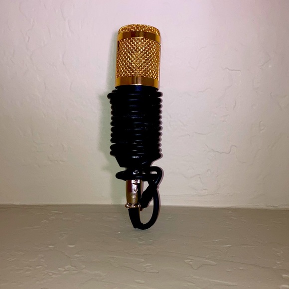 Slightly used Pc Microphone.